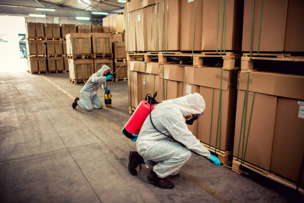 Best Exterminator Services  in Osceola, AR