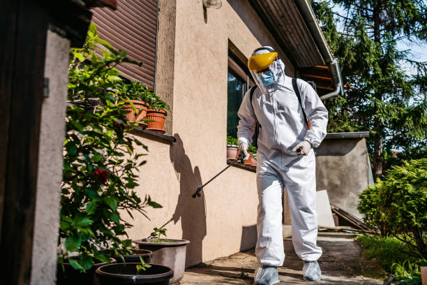 Best Emergency Pest Control  in Osceola, AR