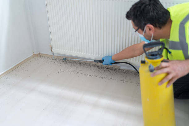 Best Best Pest Control Companies  in Osceola, AR