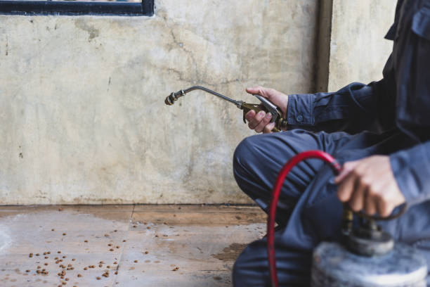 Best Ant Control Services  in Osceola, AR